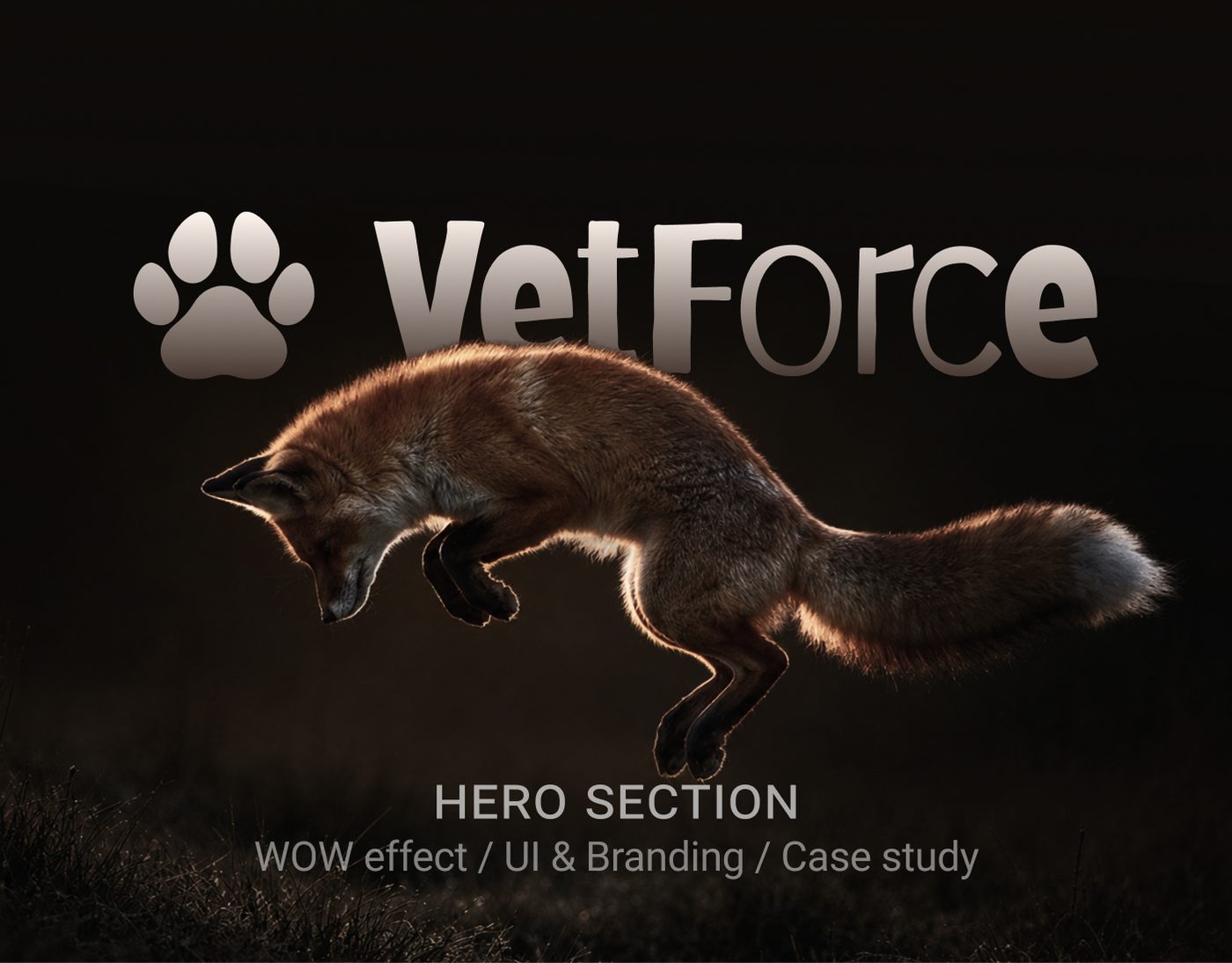 Vet Force — Hero WOW Effect — Hero UI · Motion Direction · Branding cover